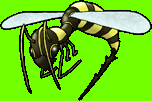 [97] Battlers de Patchwork V3 Insect11