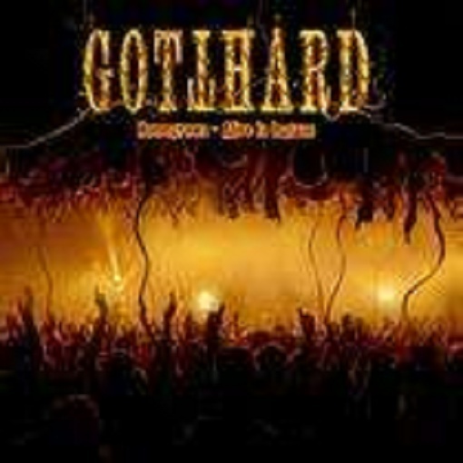 Gotthard Band 2012 - 2013 - 2014 & Nic Maeder  Gottar11