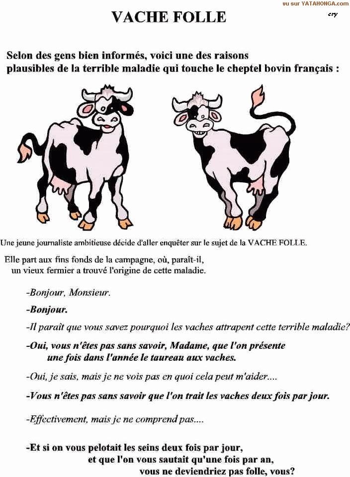 blaguounettes !!! - Page 2 Vache_10