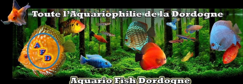 aquariofish dordogne