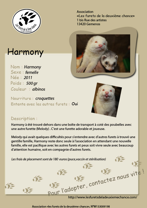  Harmony   33070311