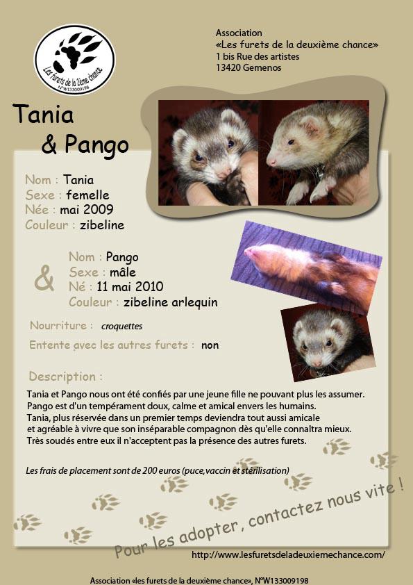 Tania et Pongo  40551410