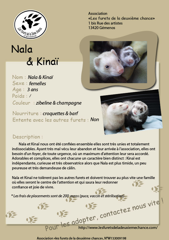 Nala et Kinai Nala_e10