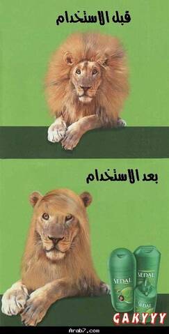 صور مضحكه من العالم
