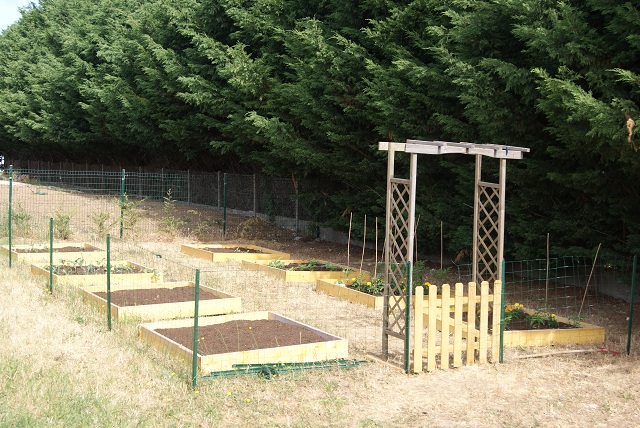 le potager de naturalys  Dsc01623