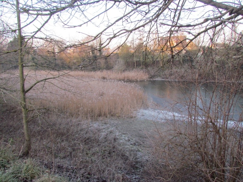 ils ont pollué, mon lac.......... - Page 3 2317