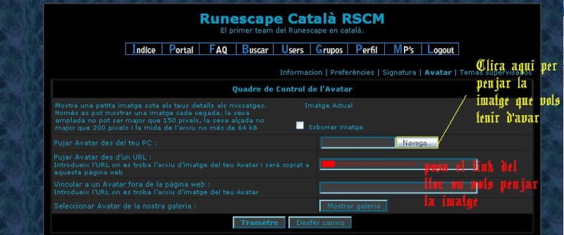 Guia de com tenir un avatar Acces_13