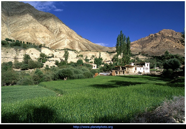 Asie, Inde, le Ladakh en 56 photos. Autre_10