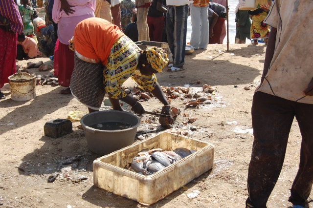 senegal - Afrique, Sénégal, Mbour,  Mars 2008. Le port de pêche. Photos commentées de 19 à 32 / 1000 Copie_64