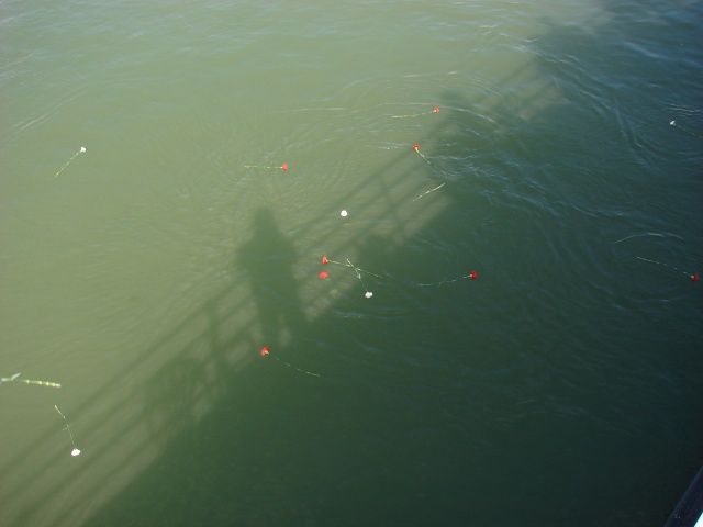 Croisière sur le rhin avec l'amicale des coloniaux le 17 septembre 2007 (suite numéro 1) Dsc02929