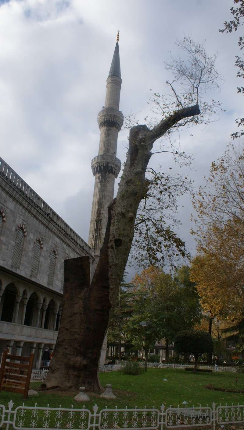 istanbul - Visite d' Istanbul Dsc05130