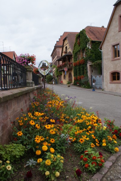 Bergheim dans le haut rhin Dsc06715