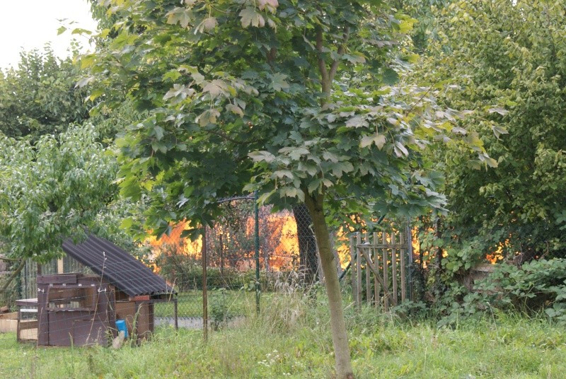 Incendie à Mittelhausen le 28 août 2011 Dsc07520