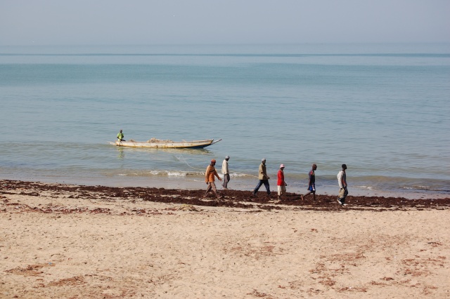 Afrique, Sénégal, Récit de voyage de roger. Mbour du 16 mars au 28 mars 2008 Dsc_0043
