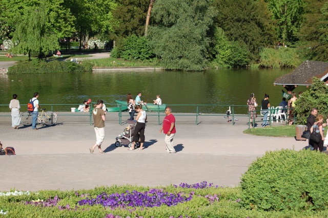 Europe, France, Strasbourg, Le parc de L'orangerie et ses cigognes. Dsc_0230