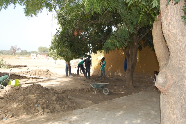 Sénégal, le bénévolat et les stages, association " vivre ensemble " Dsc_0653