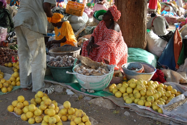Afrique, Sénégal, Mbour, Mars 2008, la ville. Photos commentées de 53 à 84 / 1000 Dsc_0732