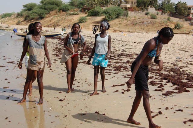 Afrique, Sénégal, Mbour, Mars 2008, la plage. Photos    de 84 à 101   / 1000 Dsc_0757