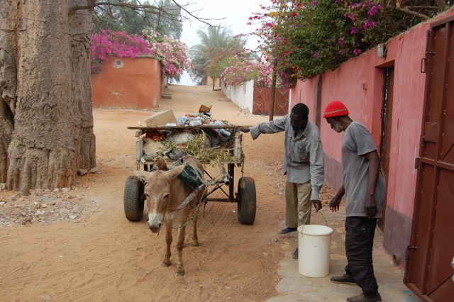Afrique, Sénégal, Mbour, Mars 2008, le ramassage des ordures. Dsc_1111