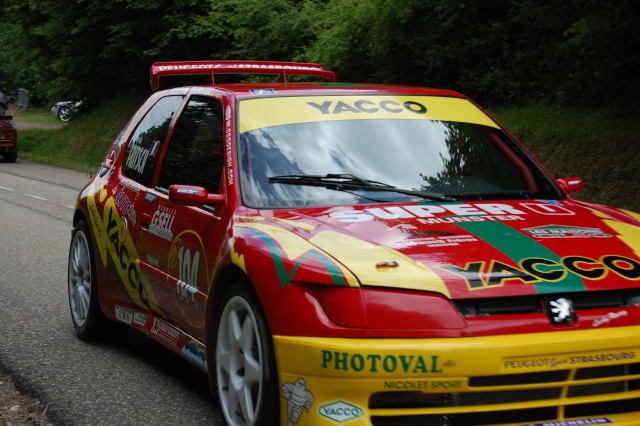 Europe, France, Fréconrupt. La course de côte des 14 et 15 juin 2008 ( seconde série de photos ) Dsc_1299