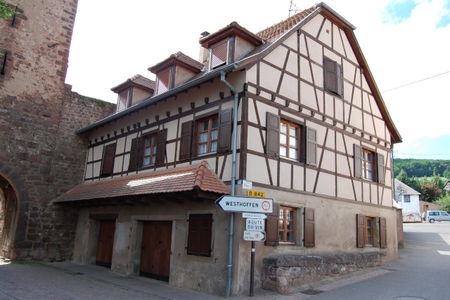 Europe, France, Alsace. Wangen, petit village de vignerons Dsc_1440