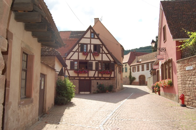 Europe, France, Alsace. Wangen, petit village de vignerons Dsc_1445