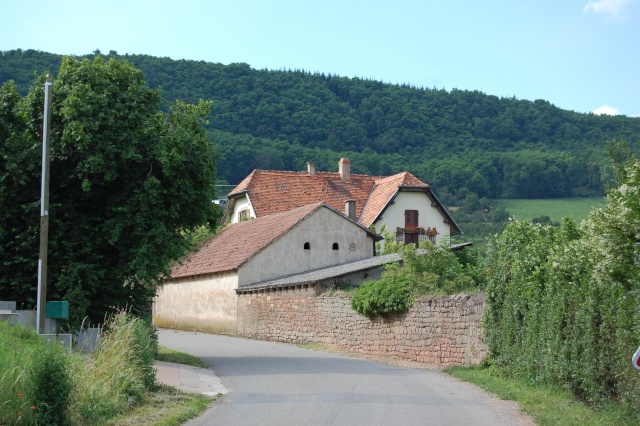 Europe, France, Alsace. Wangen, petit village de vignerons Dsc_1490