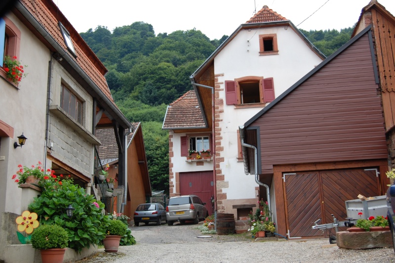 Mollkirch, petit village proche de grendelbruch en Alsace. Dsc_1650