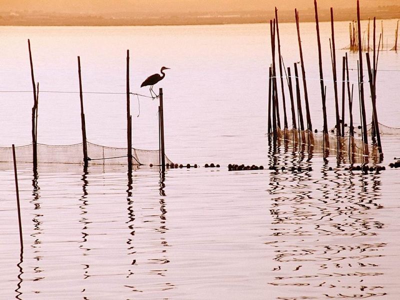 de magnifiques photos d'Espagne Espagn21