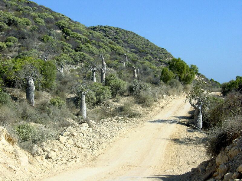 Madagascar. Qui connait cet endroit ?  ( question numéro 3 ) Madaba11