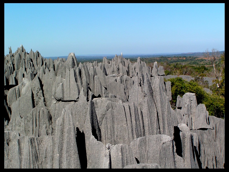 Madagascar. Qui connait cet endroit ?  ( question numéro 5 ) Tsingy10