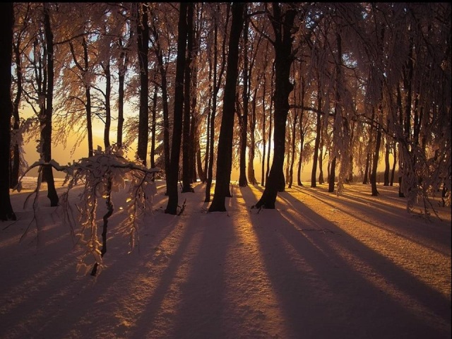 Tombe la neige Winter25