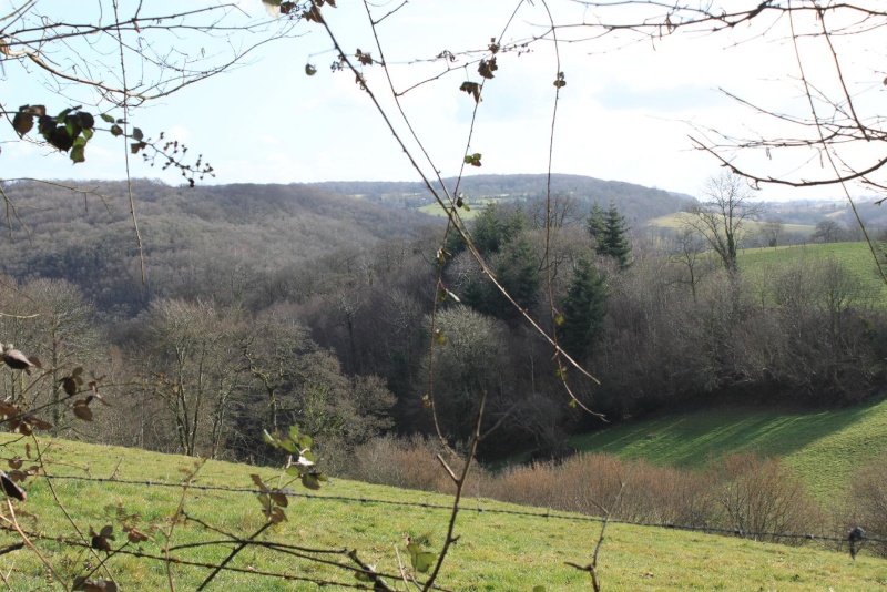 sortie du 19 février les crabots du bocage athisiens Paysag19