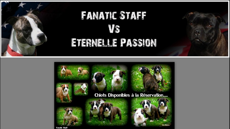 Fanatic Staff & Eternelle Passion