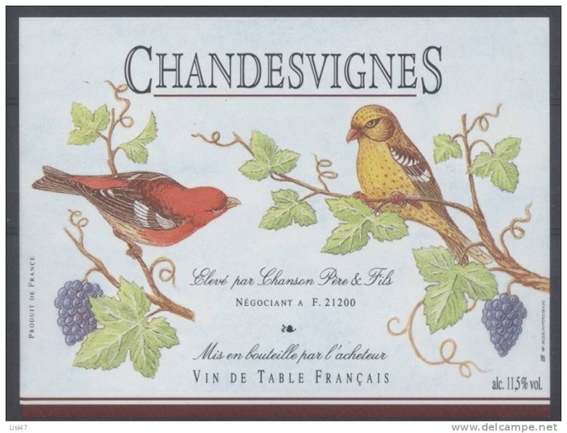 Nos oiseaux sur les étiquettes de vin (2011) 349_0010