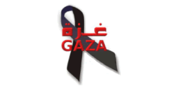 Solidarité Gaza Gaza11
