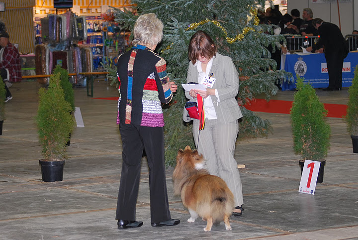 Brussels Dog Show Dsc_0914