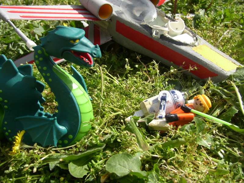 Crash sur dagobah !! # P1010046