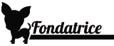 Fondatrice Fondatrice