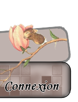 Connexion