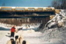 Raid "chiens de traineaux" au nord du Québec 13111