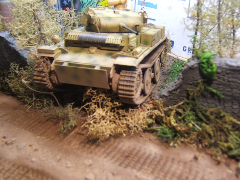 Panzer II "Lusch"  Tasca 1/35 Dscf6823