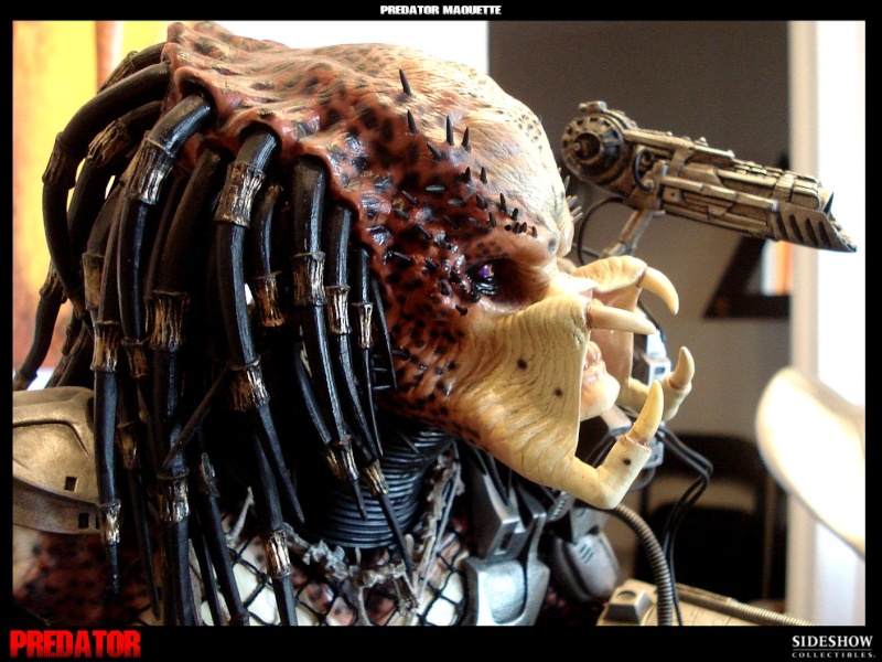 Collection n°329 : Redfield MAJ du 15/08/11--> MAJ Predator Jungle Dsc00014