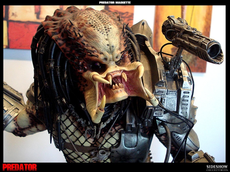 Collection n°329 : Redfield MAJ du 15/08/11--> MAJ Predator Jungle Dsc00117