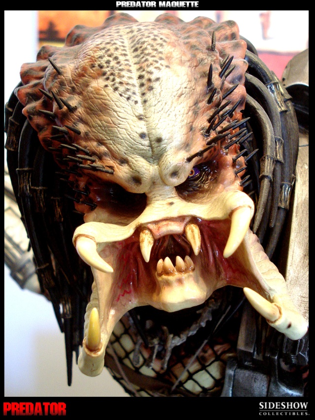 Collection n°329 : Redfield MAJ du 15/08/11--> MAJ Predator Jungle Dsc00119