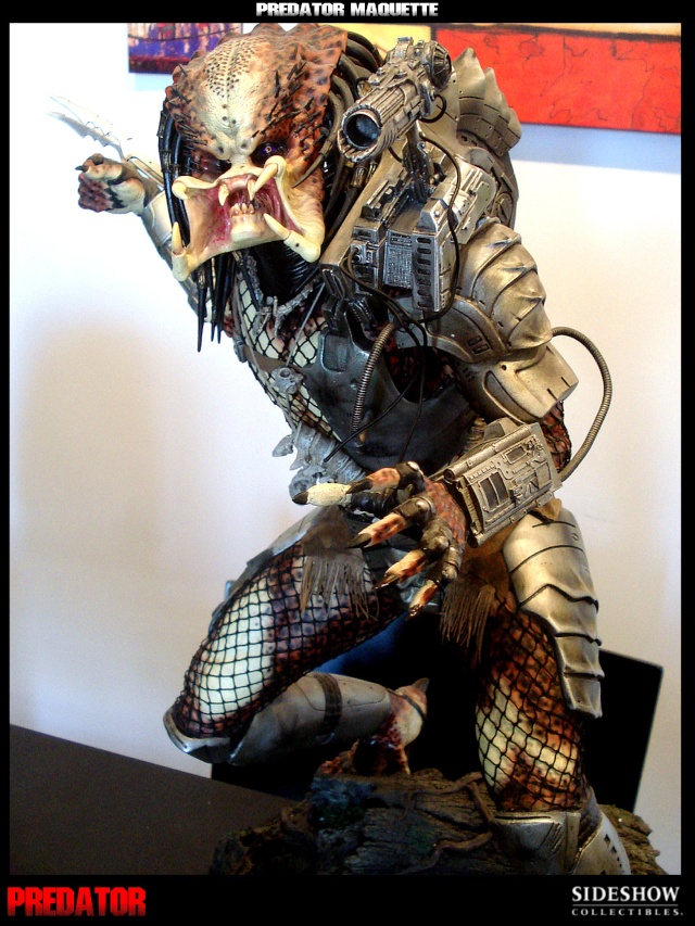Collection n°329 : Redfield MAJ du 15/08/11--> MAJ Predator Jungle Dsc00120