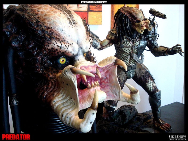 Collection n°329 : Redfield MAJ du 15/08/11--> MAJ Predator Jungle Dsc00215
