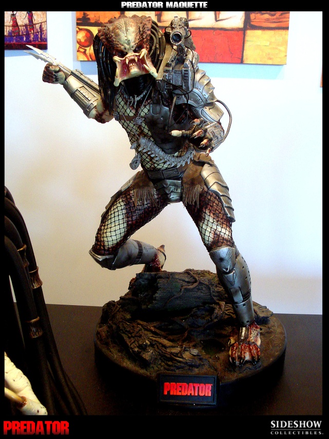 Collection n°329 : Redfield MAJ du 15/08/11--> MAJ Predator Jungle Dsc09910