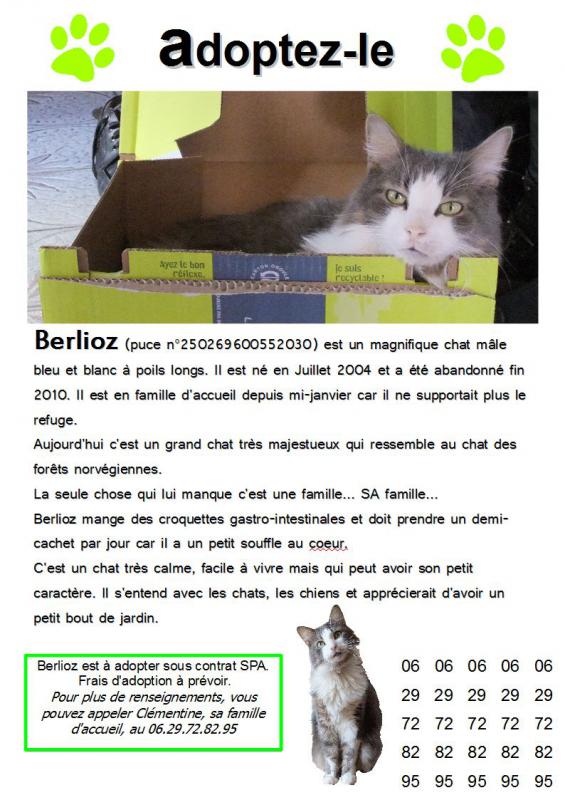 Berlioz Un beau poil long blanc et gris - Page 5 Berlio10