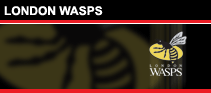 London WASPS - News Wasps-10